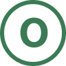 The site icon supplied with the product artwork, a green roundel
